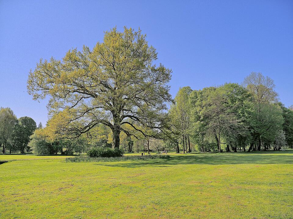 Landschaftsgarten im englischen Stil