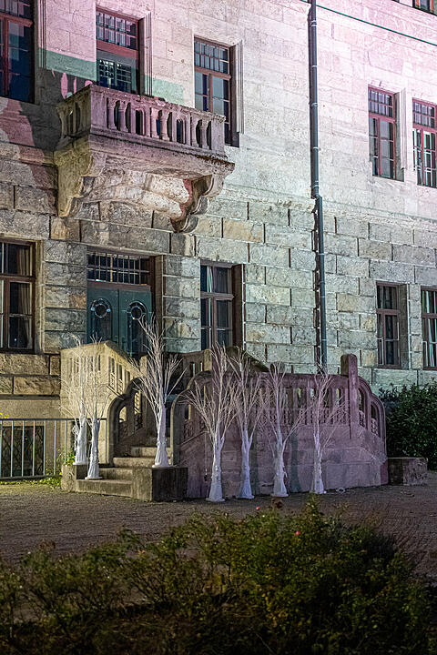 Über 120 lebensgroße Tiere und eindrucksvolle Lichtobjekte!