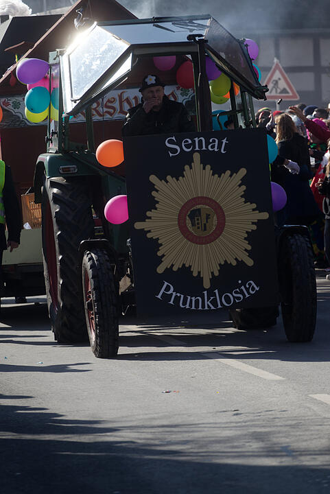 Fasching 2025 in Emskirchen!