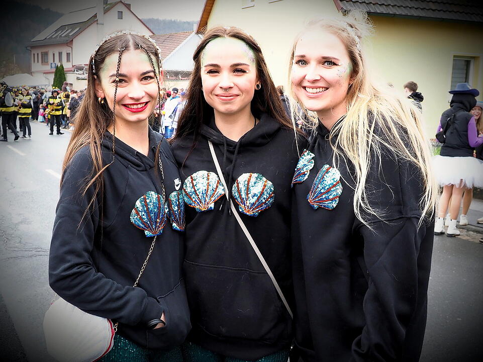 Fasching 2024 in Steinach