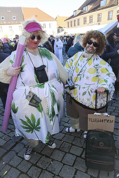 Fasching 2025 in Stadtsteinach!