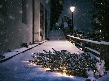 Die schönsten Feiertage gehen zu Ende, jetzt ist die Zeit der Weihnachtsbaum zu entsorgen.