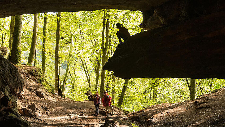 Spiel, Spaß und Abenteuer erwarten Groß und Klein an der Bärenhöhle in der Pfalz.