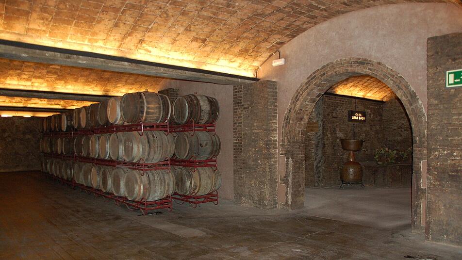 Historische Weinprobe: Der älteste Weinkeller Deutschlands in der ältesten Stadt