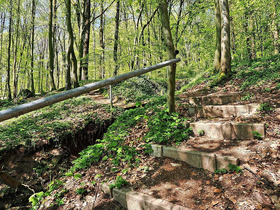 Die Wanderung führt durch eine Kernzone des Biosphärenreservats Rhön.