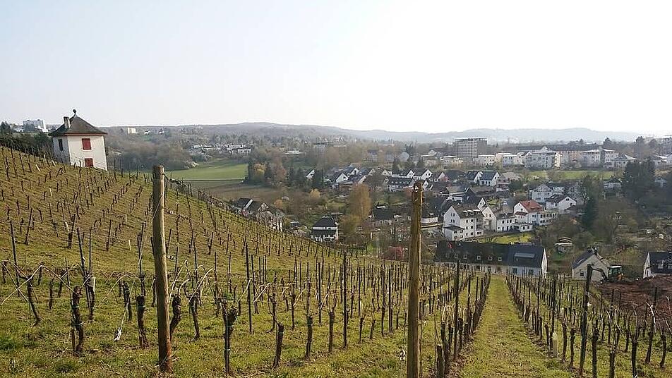 Ein herrlicher Blick bietet sich dir von den Weinbergen auf Trier-Olewig.