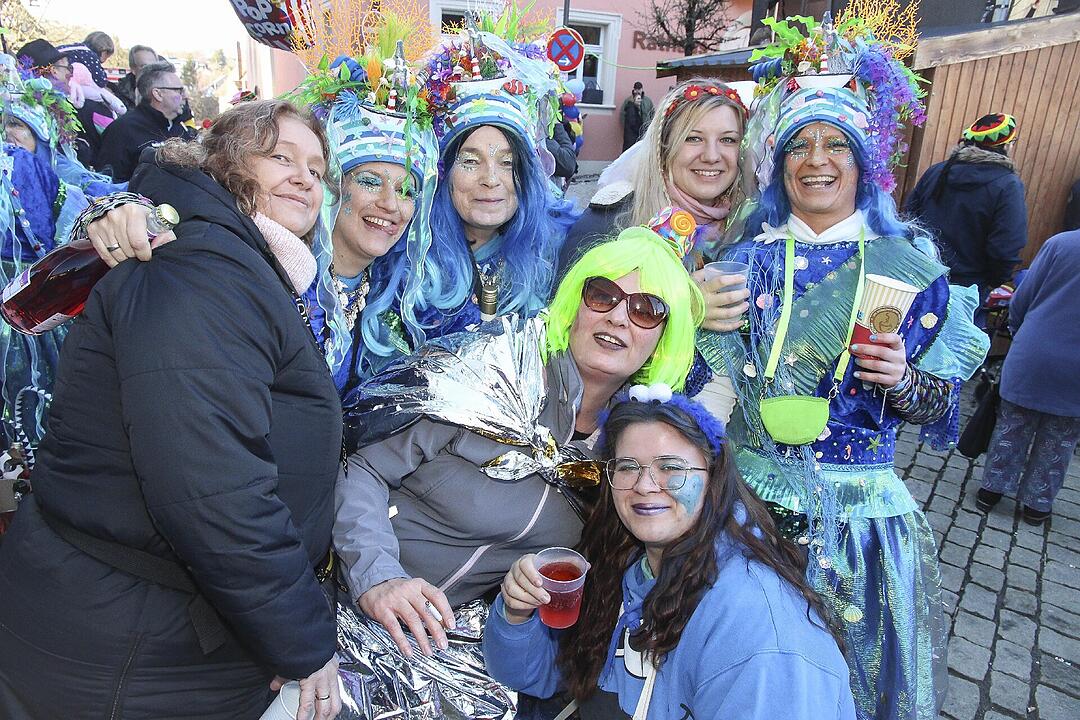 Fasching 2025 in Stadtsteinach!