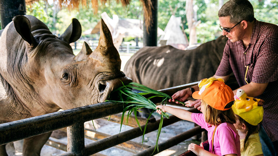 Zoo, Tierpark