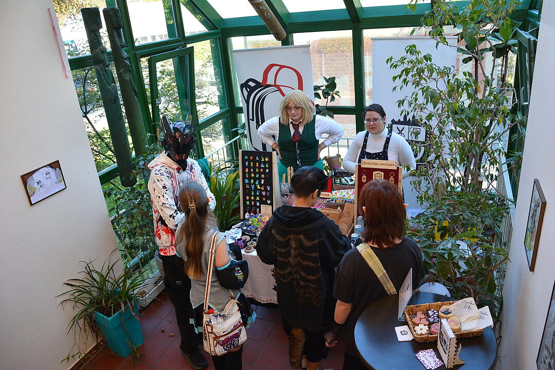Zahlreiche Manga, Anime und Cosplay-Fans kamen nach Schweinfurt.