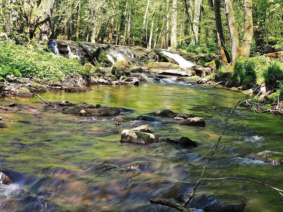 Die Wanderung führt durch eine Kernzone des Biosphärenreservats Rhön.