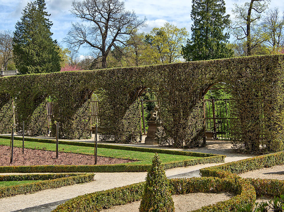 Baumblüte im Hofgarten der Würzburger Residenz