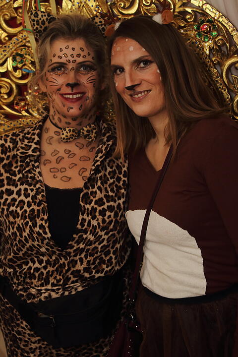 Fasching 2025 in Nürnberg!