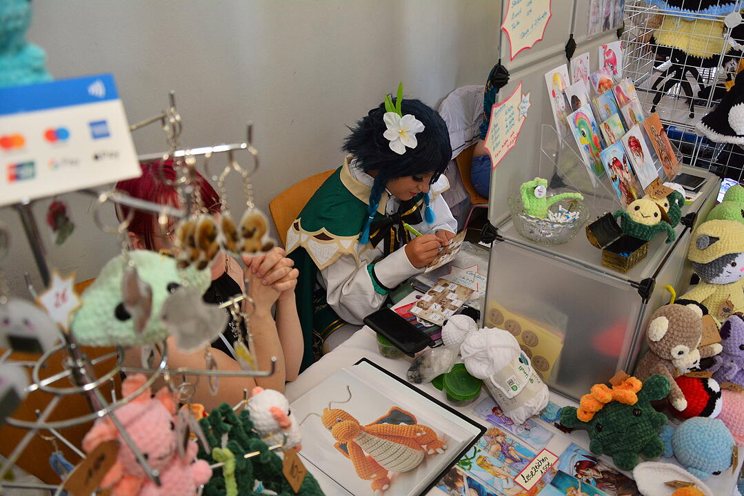 Zahlreiche Manga, Anime und Cosplay-Fans kamen nach Schweinfurt.