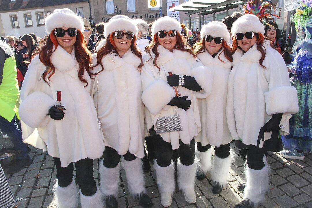 Fasching 2025 in Stadtsteinach!