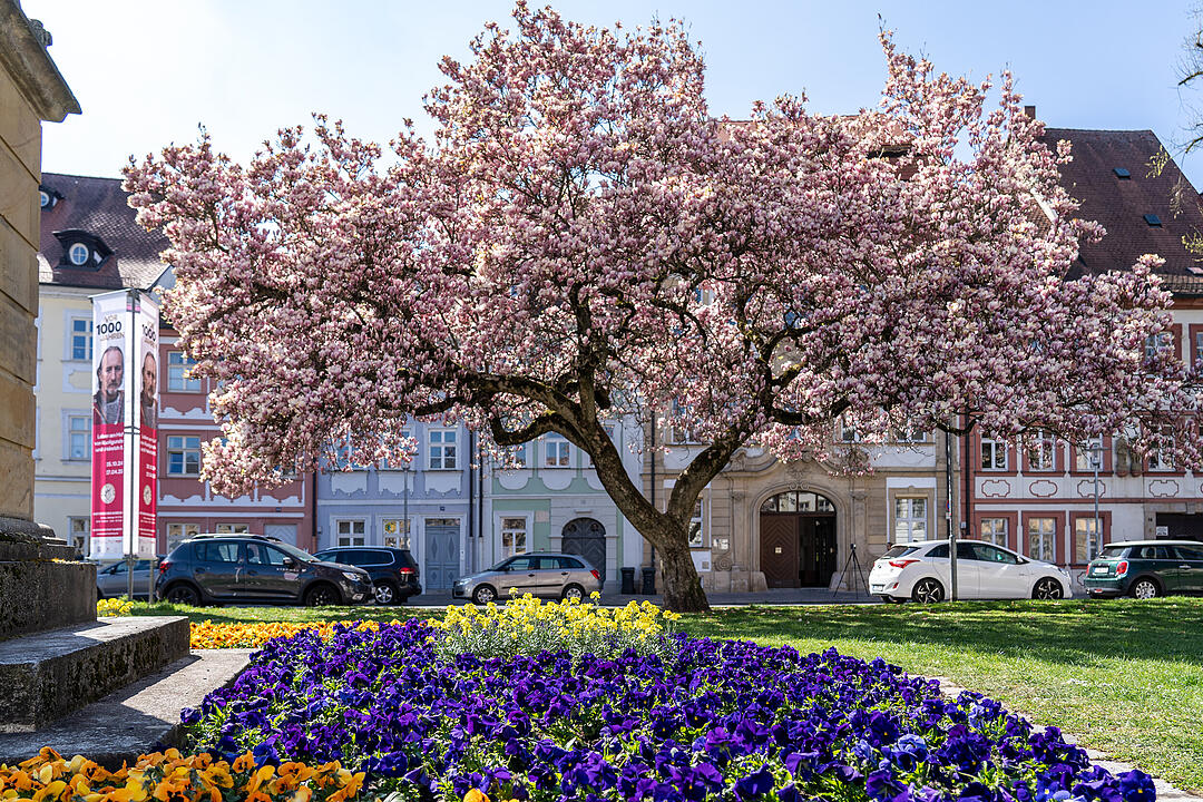 Bamberg im Frühling.