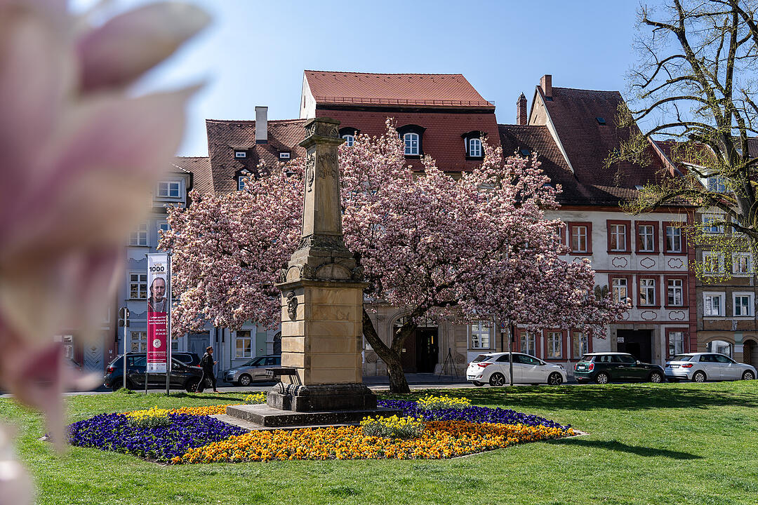 Bamberg im Frühling.