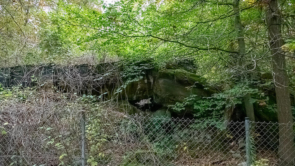 Bei Oberotterbach finden sich aber noch zahlreiche Ruinen verschiedener Bunkertypen.