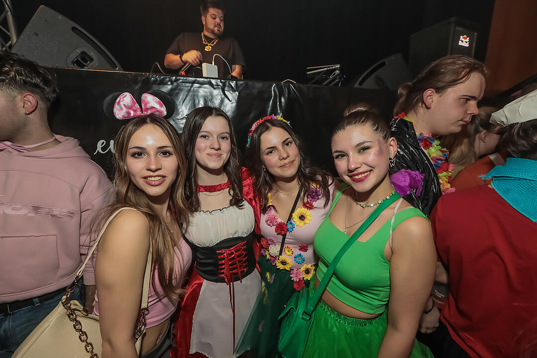 Fasching 2025 in Schweinfurt!