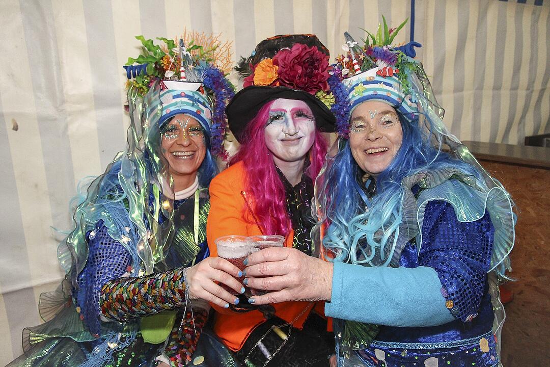 Fasching 2025 in Stadtsteinach!