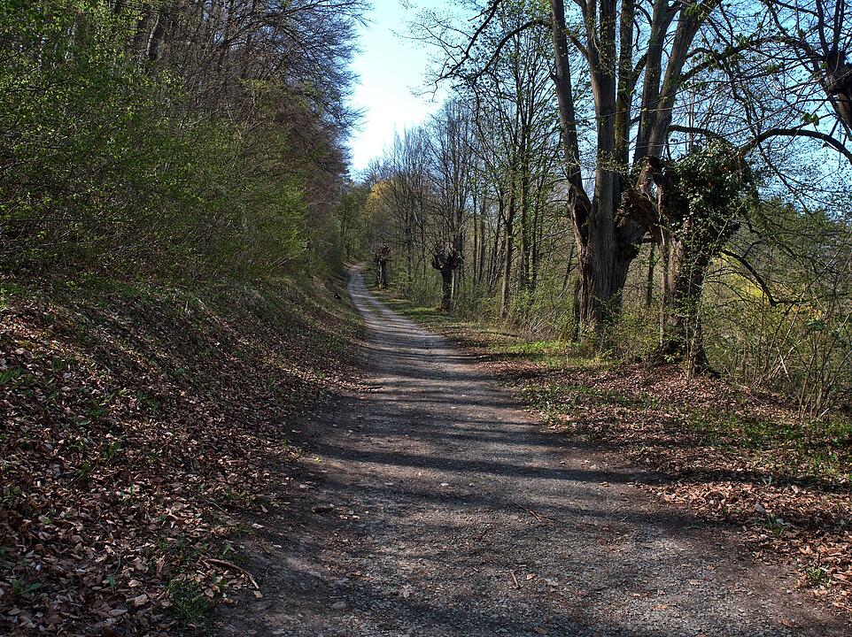 So schön ist die Region Bad Kissingen