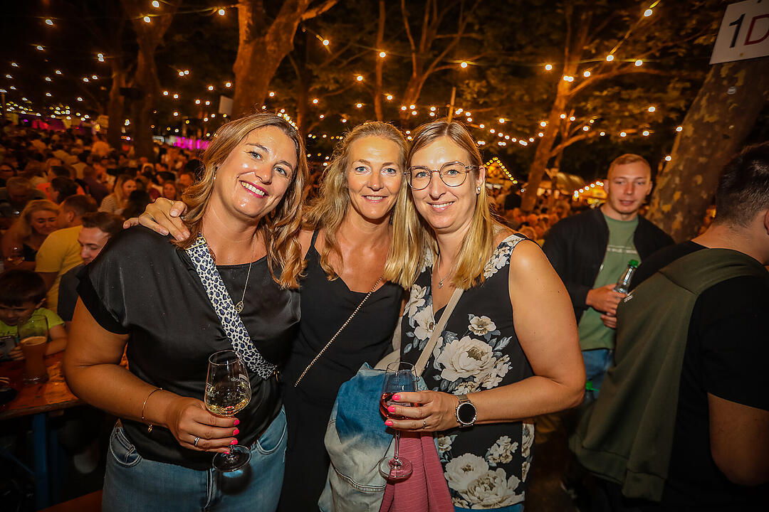 Impressionen vom größten Weinfest in Franken!