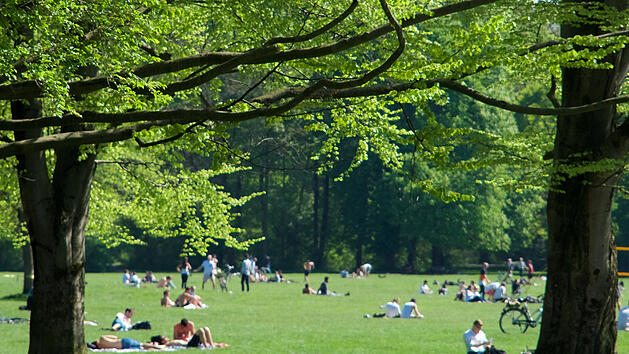 Stadtpark, Parkanlage