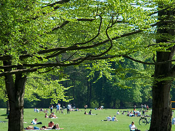 Stadtpark, Parkanlage