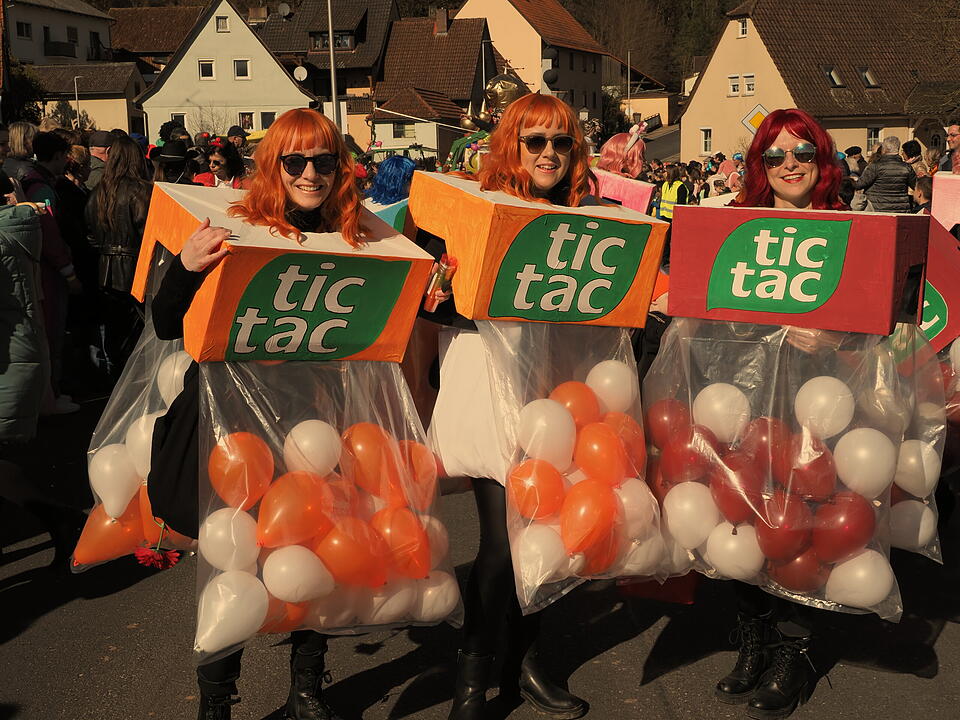 Fasching 2025 im Landkreis Bad Kissingen!