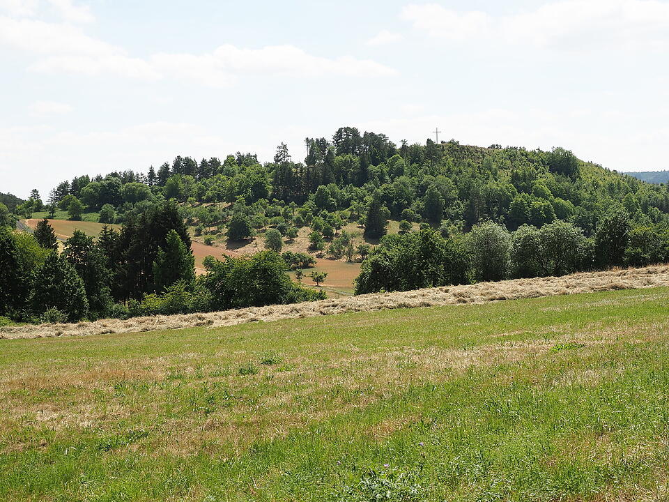 Die Lichtenburg ist eine Ruine auf dem Schloßberg.