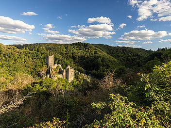 Der Blick auf die Manderscheider Niederburg im Liesertal.