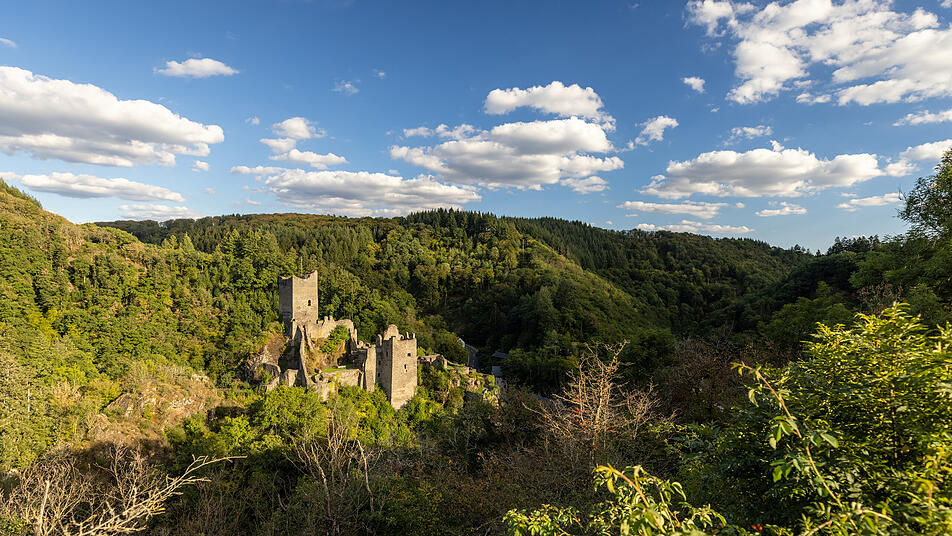 Der Blick auf die Manderscheider Niederburg im Liesertal.