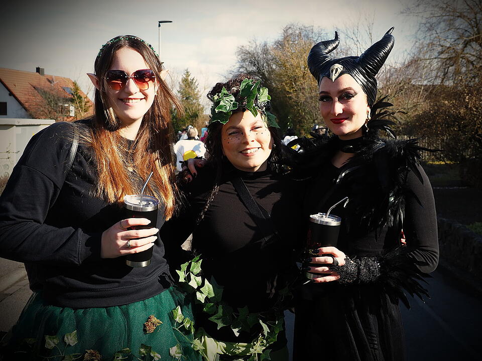 Fasching 2025 im Landkreis Bad Kissingen!