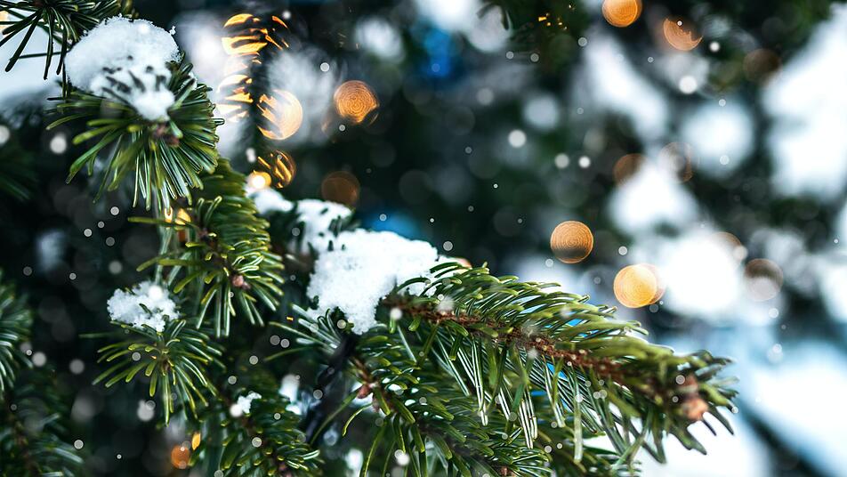 Fast alle Gemeinden sammeln im Januar Weihnachtsbäume über die Müllabfuhr.