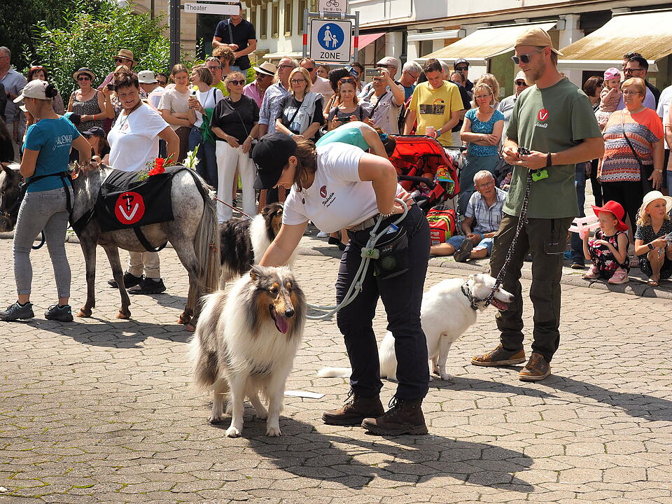 Großer historischer Festzug durch Bad Kissingen!