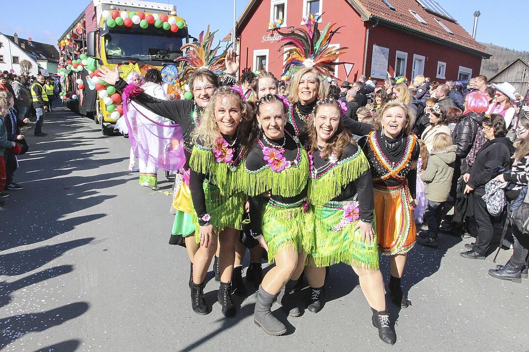 Fasching 2025 in Stadtsteinach!