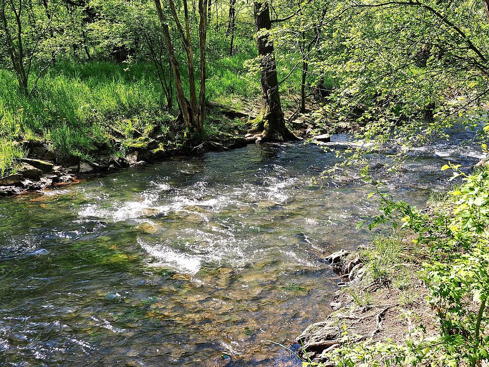 Die Wanderung führt durch eine Kernzone des Biosphärenreservats Rhön.