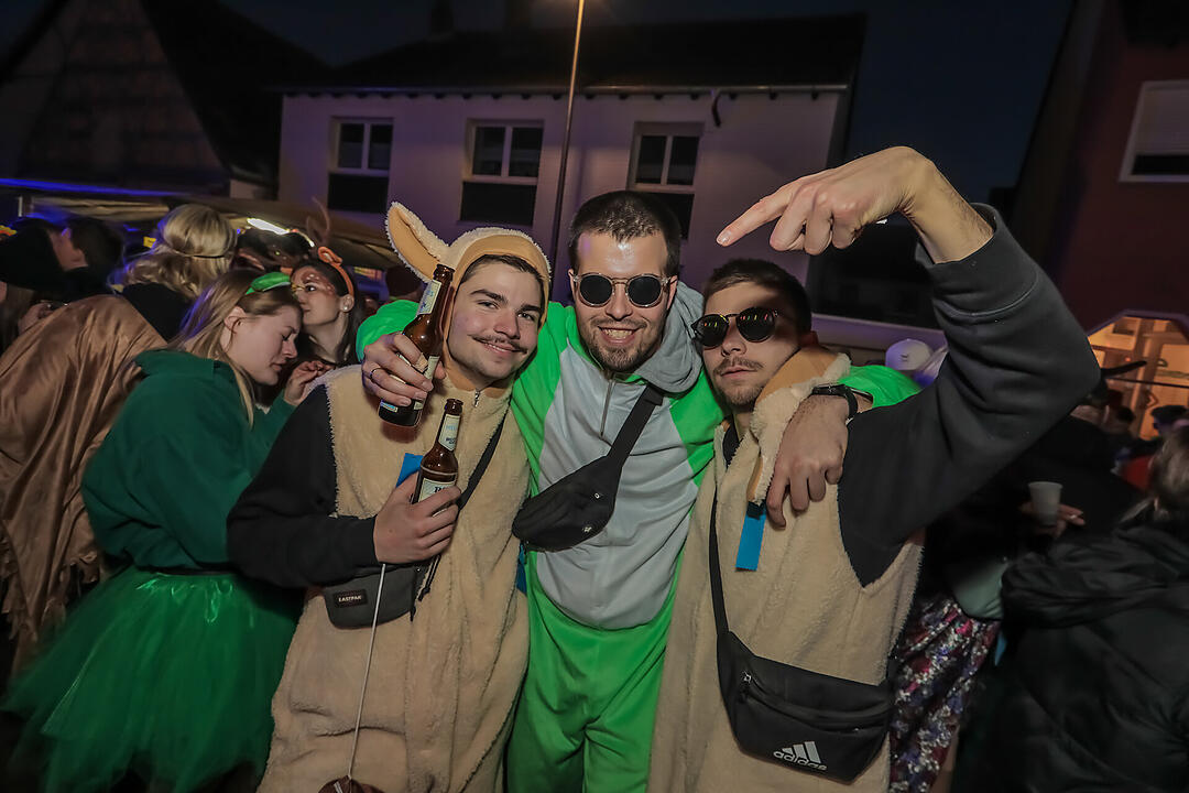 Fasching 2025 in Unterfranken!