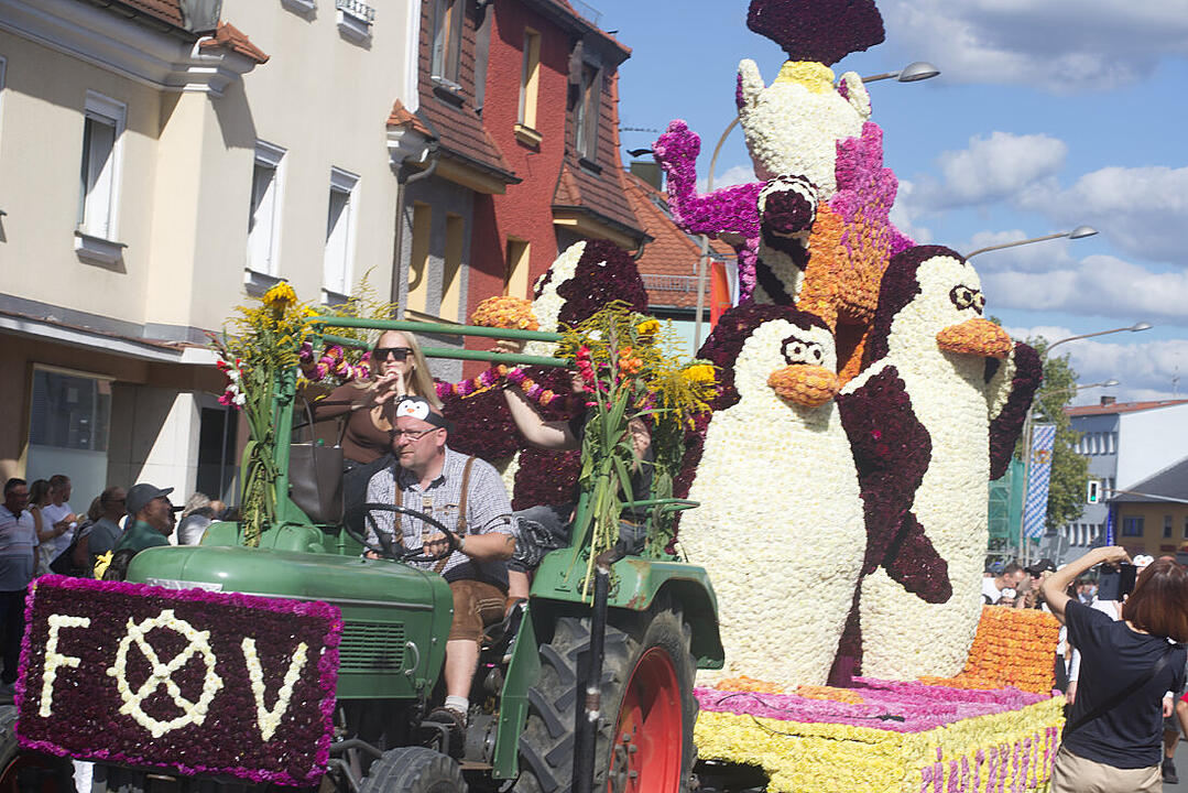 Das Fest der 500.000 Dahlien.