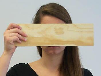 Hinter dem Brett verbirgt sich Emily Depperschmidt. Sie hat ihre Redeangst besiegt. Foto: Vedrana Simunic