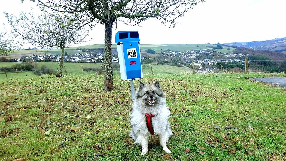 Wichtig sind Hundebeutel-Spender am Wegesrand.