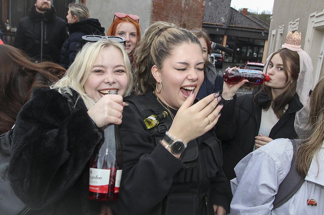 Großer Faschingsumzug  zum Stadtsteinacher Marktplatz