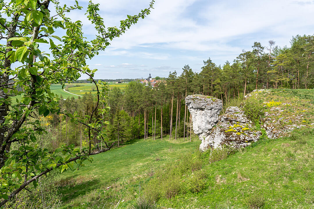 Der große Burgfels dient als toller Aussichtspunkt.