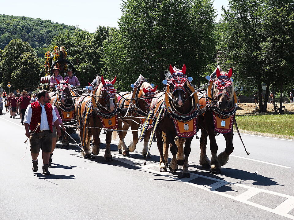 Historischer Festumzug