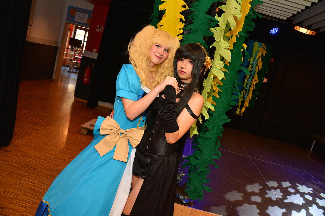 Zahlreiche Manga, Anime und Cosplay-Fans kamen nach Schweinfurt.