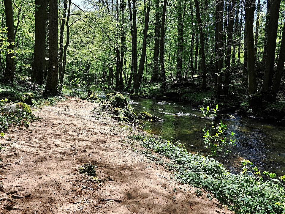 Die Wanderung führt durch eine Kernzone des Biosphärenreservats Rhön.