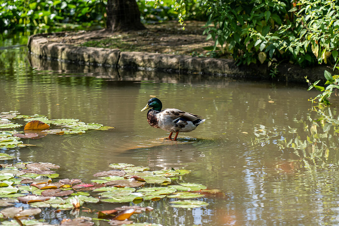 Einer der ältesten Bürgerparks in Bayern