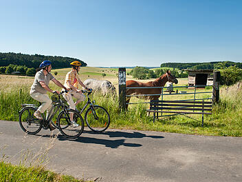 Reiten ist ein beliebter Sport von Jung und Alt.