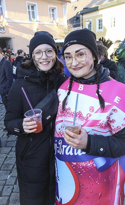 Fasching 2025 in Stadtsteinach!