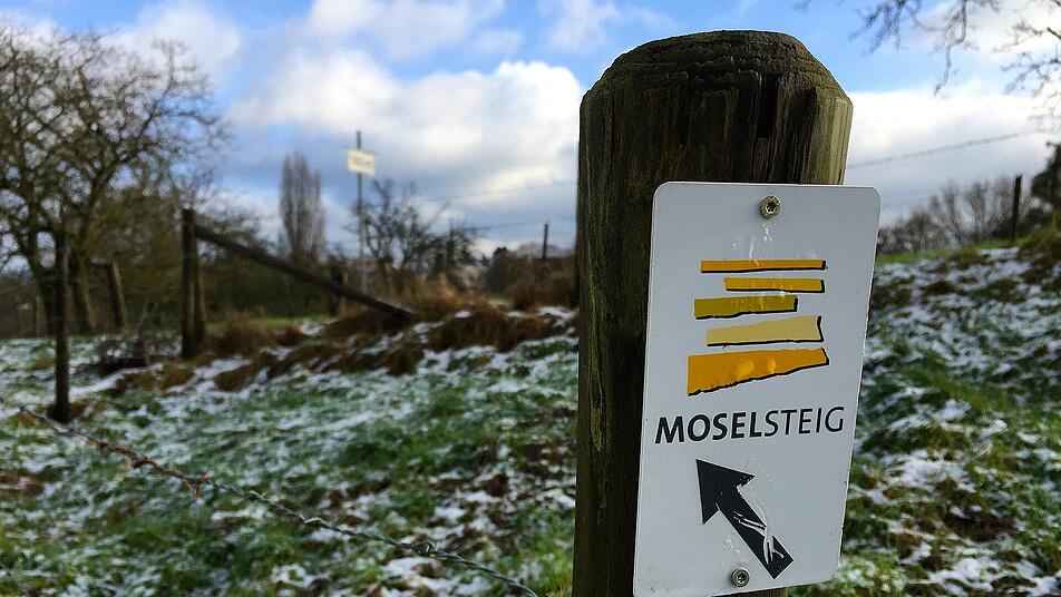 Direkt am Moselsteig liegt der Aussichtspunkt auf die Moselschleife Kröv.