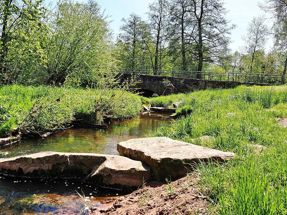 Die Wanderung führt durch eine Kernzone des Biosphärenreservats Rhön.